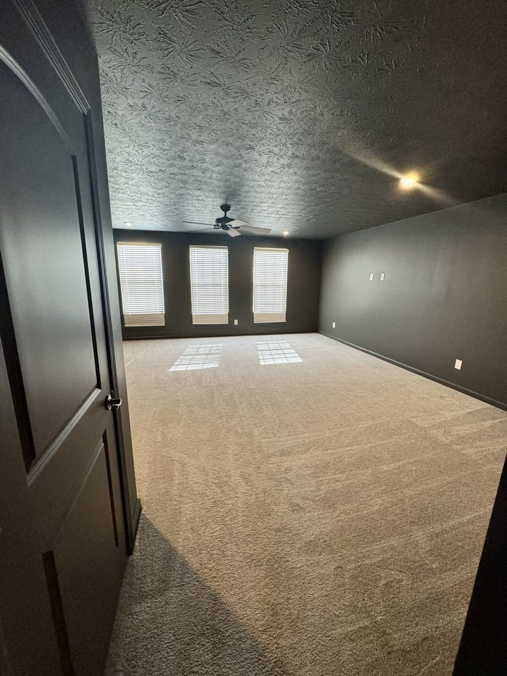 Bedroom painted a deep charcoal on the walls, ceiling, trim and door